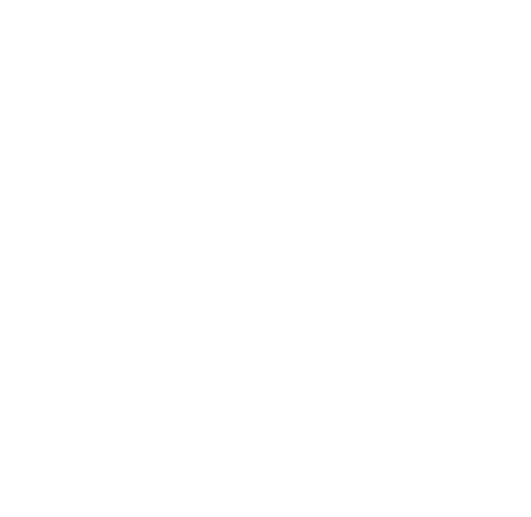 icon-50jahre